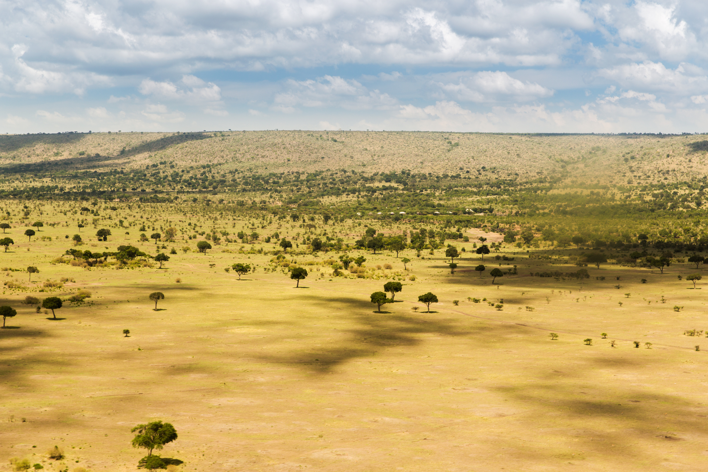 maasai mara national reserve (3).webp